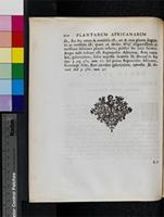 Rapunculus foliis inferioribus multifidis, superioribus simplicibus, dentatis, floribus spicatis [2], from South Africa