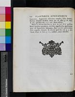 Rapuntium foliis oblongis, dentatis, flore luteo spicato, flagellis procumbentibus [2], from South Africa