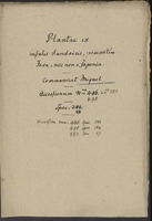 Accession number 486, 495 and 553: Plantae ex insulis Sundaicis, praesertim Java, nec non e Japonia - Communicat Miquel - Accessionum nus 486. nus 553 nus. 495