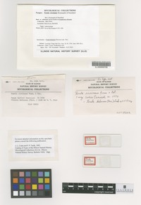 Isolectotype of Torula circinans Roum. and Pat. [family NOT ON SHEET]