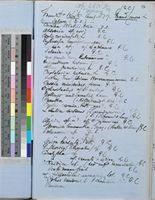 List of plants sent to Kew by Sir John Kirk; Aug 1879; folios 92-92a