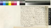 Letter from William Scott to Sir Joseph Dalton Hooker; from Royal Gardens, Mauritius; four page letter comprising two images; folio 556