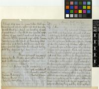 Letter from Gustav Mann to the Royal Botanic Gardens, Kew; Steamer Retriever, Banny River [Nigeria]; 20 Oct 1860; Four page letter comprising of two images; folio 212