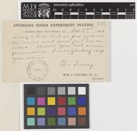 Postcard from W.C.[William Carter] Stubbs to Sir William Thiselton-Dyer; from Louisiana Sugar Experiment Station, Audubon Park, New Orleans, Louisiana, [United States of America]; 2 Nov 1891; two page postcard comprising two images; folio 424