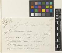 Letter from [Major John Frederick Adolphus] McNair to Sir Joseph Dalton Hooker; from Singapore; 3 Oct 1874; four page letter comprising four images; folios 509 - 510