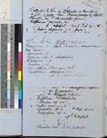 List of plants sent to Kew by Sir John Kirk; 1881; folio 93