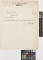 Letter and RGBK Memorandum from N.L.[Nathaniel Lord] Britton to Sir William Thiselton-Dyer; from New York Botanical Garden, Bronx Park, New York, [United States of America]; 14 July 1903; two page item comprising two images; folios 82 - 83