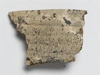Lecanora sp. on Borassus sp.; lichen on wood