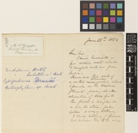 Letter from J.C.[John Child] Hannyngton to the Royal Botanic Gardens, Kew; [author address unknown]; 28 June 1883; three page letter comprising two images; folio 428a