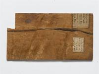 Trichilia emetica Vahl.; wood