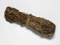 Barringtonia racemosa (L.) Spreng.; fibre