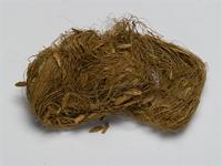 Securidaca longepedunculata Fresen.; fibre