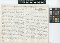 Letter from D.[Daniel] Morris to Sir William Thiselton-Dyer; from Imperial Agricultural Department for the West Indies, Montserrat; 28 Nov 1902; eight page letter comprising four images; folios 145 - 146