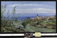 Royal Botanic Gardens, Kew: Archives: Marianne North Images