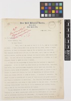 Letter from George V.[Valentine] Nash to William Watson; from New York Botanical Garden, Bronx Park, New York, [United States of America]; 2 July 1902; two page letter comprising two images; folios 238 - 239