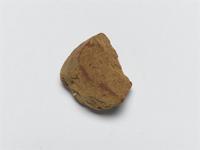Baphia nitida Lodd.; wood