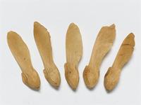 Securidaca longepedunculata Fresen.; fruit