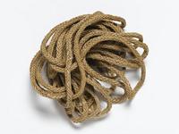 Securidaca longepedunculata Fresen.; fibre