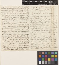 Letter from Edward Madden to Sir William Jackson Hooker; from 47 Lady Lane, Waterford, [Ireland]; 3 Aug 1850; seven page letter comprising four images; folio 331