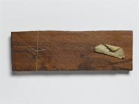 Afzelia quanzensis Welw.; wood