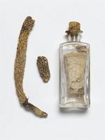 Economic Botany Collection, Kew