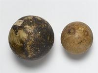 Strychnos spinosa Lam.; fruit