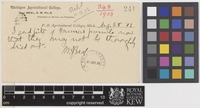Postcard from W.J.[William James] Beal to Sir William Thiselton-Dyer; from Michigan Agricultural College, Michigan, [United States of America]; 28 Aug 1903; two page item comprising two images; folio 241