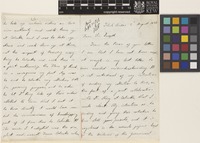 Letter from B.[Benedetto] Scortechini to Sir Joseph Dalton Hooker; from Teluk Anson [Teluk Intan, Perak, Malaysia]; 2 Aug 1886; seven page letter comprising four images; folios 256 - 257