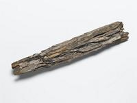 Colophospermum mopane (J.Kirk ex Benth.) J.Kirk ex J.Léonard; bark