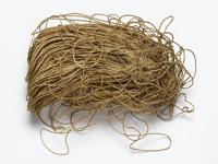 Securidaca longepedunculata Fresen.; fibre