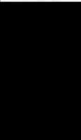 Holotype of Neonauclea excelsioides Ridsdale [family RUBIACEAE]