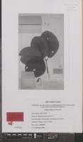 Isotype of Nauclea formicaria Elmer [family RUBIACEAE]