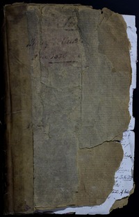 Malay Archipelago journal 1