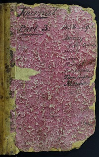 Malay Archipelago journal 3