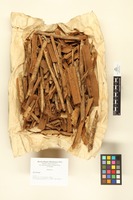 Cinchona sp. L.; Barks.
