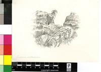 Crocosmia mathewsiana (L.Bolus) Goldblatt