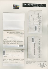 Isotype of Tayloria nepalensis Z. Iwats. & Steere [family SPLACHNACEAE]