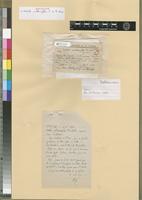 Holotype of Tortula cochlearifolia P. de la Varde [family POTTIACEAE]