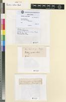 Isosyntype of Thuidium nutans Besch. [family THUIDIACEAE]