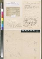 Holotype of Fissidens subdurus Broth. & P. de la Varde [family FISSIDENTACEAE]