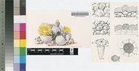 Dinteranthus wilmotianus L.Bolus